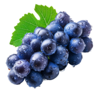 AI generated Dark blue grape with leaves isolated on transparent background With clipping path png