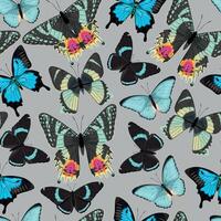 Vector seamless pattern with high detailed tropic butterfly