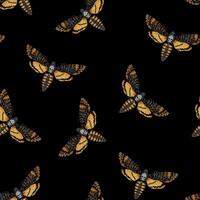 Vector seamless pattern with dead head moths on black background