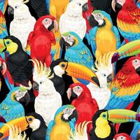 Vector seamless pattern with high detailed tropical birds on black background