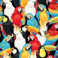 Vector seamless pattern with high detailed tropical birds on black background