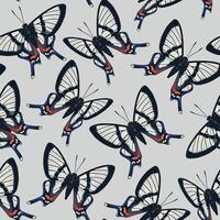 Vector seamless pattern with high detailed tropic butterfly