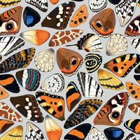 Butterfly and moth wings vector seamless pattern on neutral background