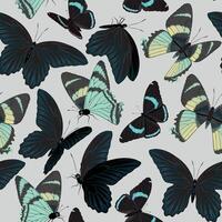 Vector seamless pattern with high detailed tropic butterfly