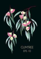 Vector set of high detailed eucalyptus flowers and leaves