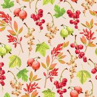 Vector seamless pattern with varicolored currant and gooseberry isolated in beige background