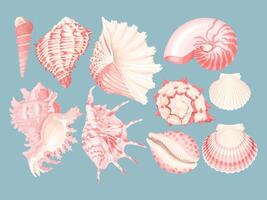 Big vector set of high detailed sea shells isolated on blue background