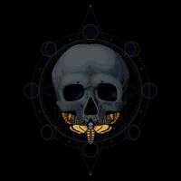 Vector illustration of black human skull with death head moth and sacred geometry