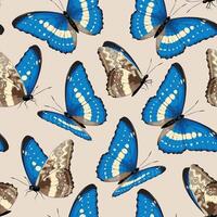 Vector seamless pattern with high detailed tropic butterfly