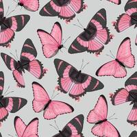 Vector seamless pattern with high detailed tropic butterfly