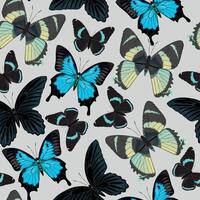 Vector seamless pattern with high detailed tropic butterfly