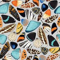 Butterfly and moth wings vector seamless pattern on neutral background