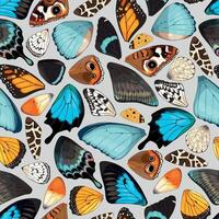 Butterfly and moth wings vector seamless pattern on neutral background