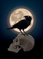 Vector illustrarion of raven and human skull with moon on dark background