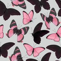 Vector seamless pattern with high detailed tropic butterfly