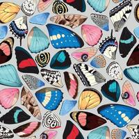 Butterfly and moth wings vector seamless pattern on neutral background