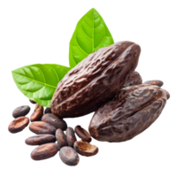 Cacao beans with leaves isolated on transparent background With clipping path.3d render png