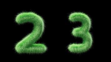 3D animation grassy numbers 2 and 3. Sign in the style of field grass. The file contains an Alpha Channel. ProRes4 RGBA video