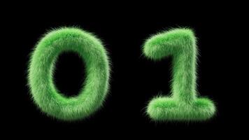 3D animation grassy numbers 0 and 1. Sign in the style of field grass. The file contains an Alpha Channel. ProRes4 RGBA video