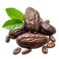 Cacao beans with leaves isolated on transparent background With clipping path.3d render png