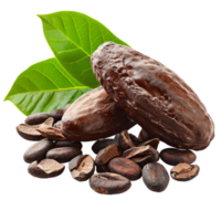 Cacao beans with leaves isolated on transparent background With clipping path.3d render png