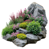 AI generated Cutout rock surrounded by flowers. isolated on transparent background With clipping path.3d render png