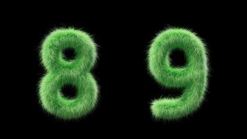 3D animation grassy numbers 8 and 9. Sign in the style of field grass. The file contains an Alpha Channel. ProRes4 RGBA video