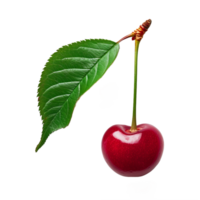 Cherry isolated on transparent background With clipping path.3d render png
