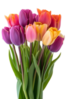 AI generated Bouquet of spring tulips flowers isolated on transparent background With clipping path.3d rendering png