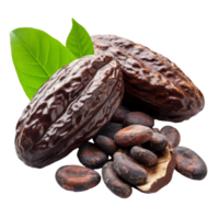 Cacao beans with leaves isolated on transparent background With clipping path.3d render png