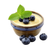 AI generated Bowl of tasty vanilla pudding with blueberry isolated on transparent background With clipping path.3d rendering png