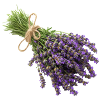 AI generated Bunch of Lavender isolated on transparent background With clipping path.3d render png