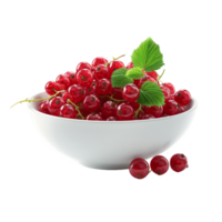 AI generated Bowl with fresh red currant isolated on transparent background With clipping path.3d render png