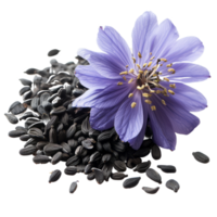 AI generated Black cumin seeds with nigella sativa flower isolated on transparent background With clipping path.3d rendering png