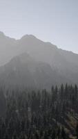 A view of a mountain with trees in the foreground video