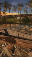 une en bois bateau séance sur Haut de une rocheux plage video