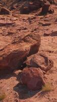 un' grande roccia nel il mezzo di un' deserto video