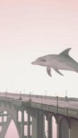 A dolphin is flying over a bridge on a foggy day video