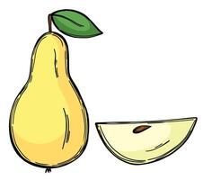 Pear fruit in doodle style vector