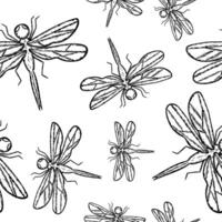 Seamless pattern with dragonfly vector