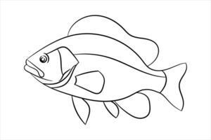 continuous out line art of Beautiful aesthetic sea fish vector art illustration.