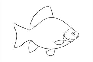 continuous out line art of Beautiful aesthetic sea fish vector art illustration.