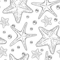 Starfish Vector seamless Pattern. Outline illustration of sea star Background. Black and white line art. Hand drawn graphic sketch. Linear print drawing for wrapping paper and fabric