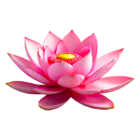 AI generated Pale pink lotus blossom isolated on transparent background png