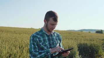 A young farmer agronomist with a beard stands in a field of wheat under a clear blue sky and makes notes in a tablet. Harvest in late summer video