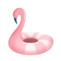 rosado flamenco nadando piscina flotador png