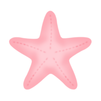 Rosa estrelas do mar clipart transparente png