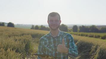 een jong boer agronoom met een baard staat in een veld- van tarwe onder een Doorzichtig blauw lucht en houdt documenten in een hand- en shows een duim omhoog met de andere hand. oogst in laat zomer video