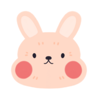 Cute bunny illustration png