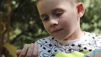 portret van een tiener zittend in een tuin Aan een zonnig dag met een groen appel in zijn hand- video